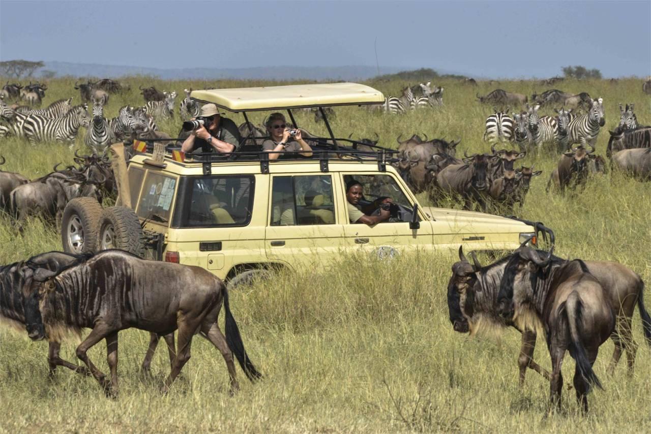 kilimanjaro safari and zanzibar package