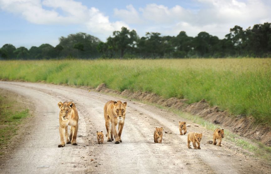 5 Days Tanzania Budget Camping Safari
