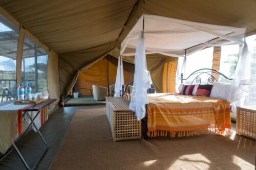 5 Days to Serengeti Park Tarangire and Ngorongoro Crater