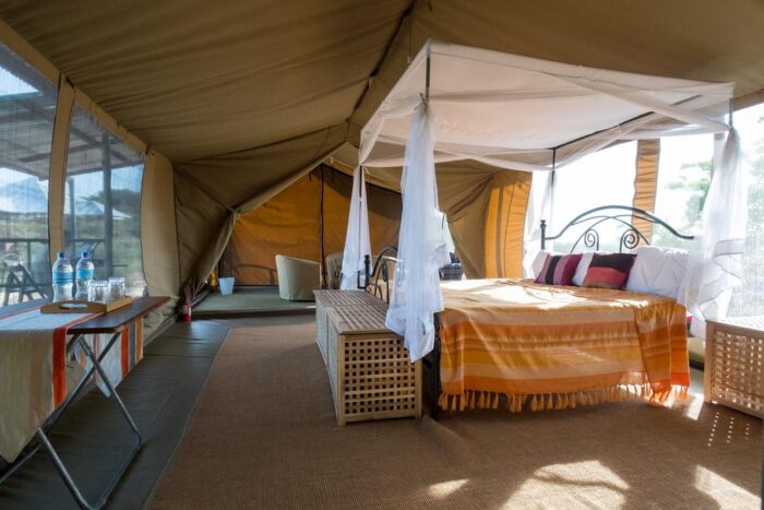 5 Days to Serengeti Park Tarangire and Ngorongoro Crater