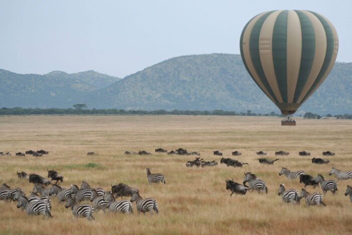 8-Days Serengeti Migration Safari