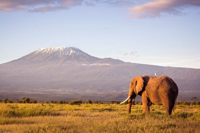 Rongai Route 6 Days Kilimanjaro Climbing