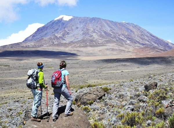 Lemosho Route 8 Days Kilimanjaro Climbing