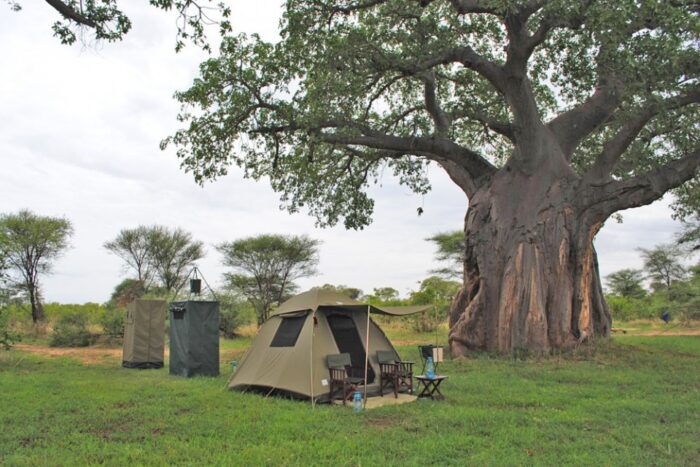 Serengeti Expedition 3 Nights Camping Safari