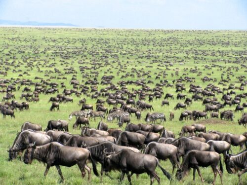 Serengeti National Park