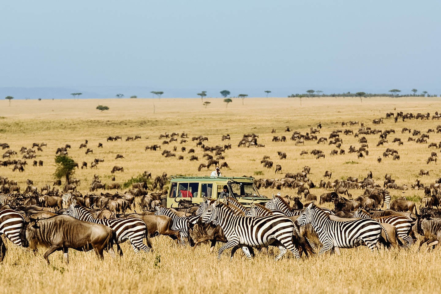 Serengeti Voyage 6 Days Safari