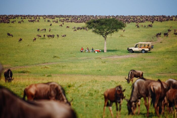 Southern Serengeti Migration Safari